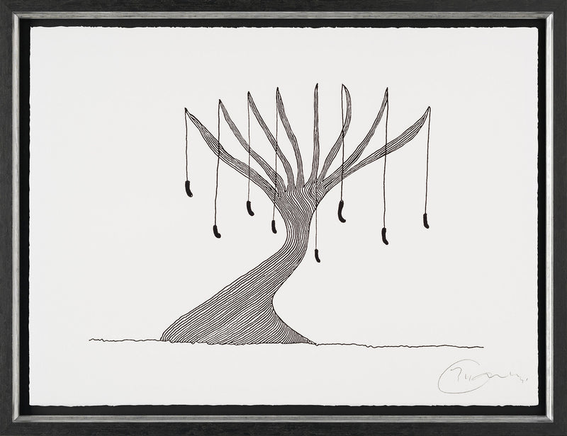 BCN Sausage Tree F 