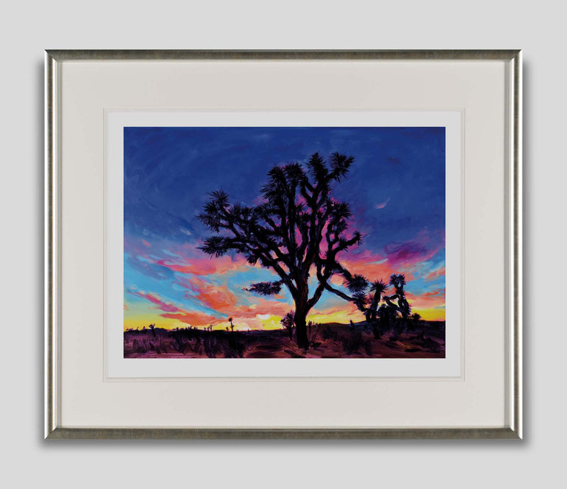 BDY JOSHUA TREE, SUNRUSE 1 